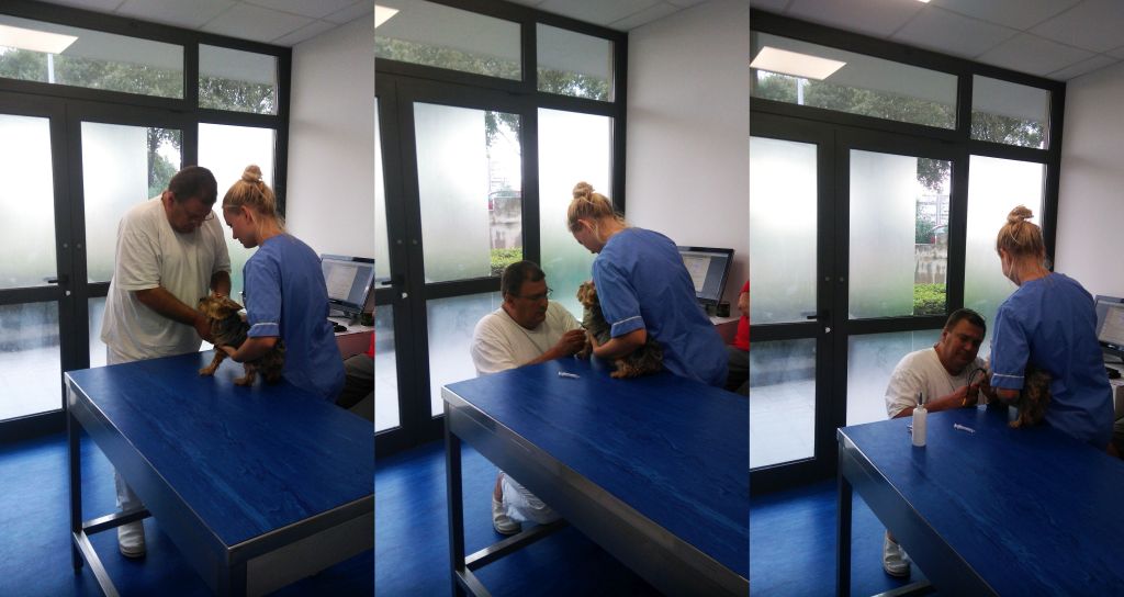 Veterinarska ambulanta Bošnjak i Mioč