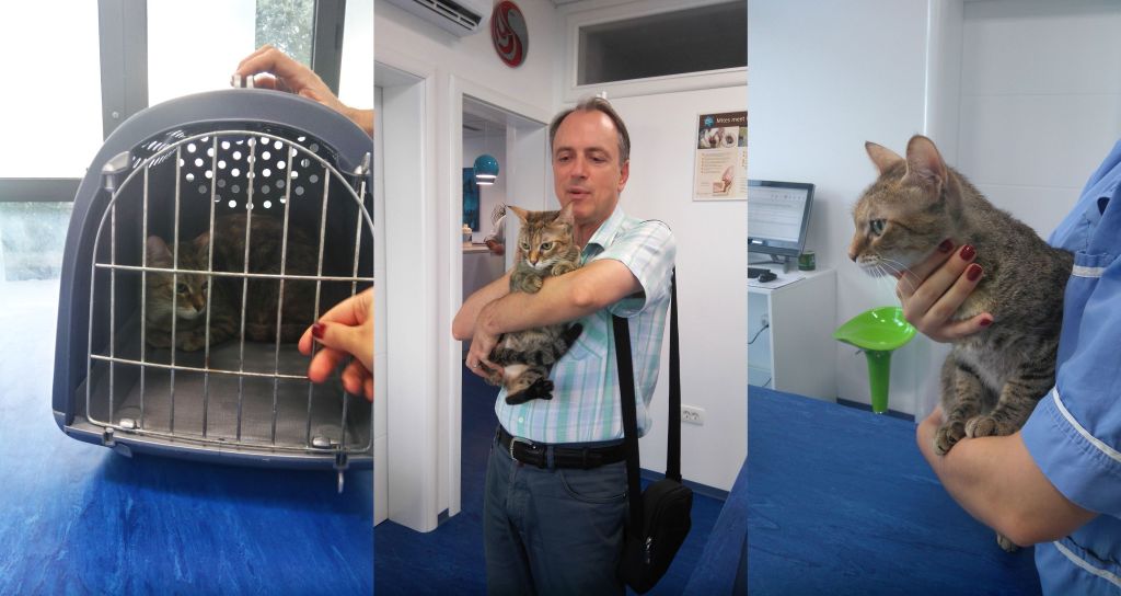 Veterinarska ambulanta Bošnjak i Mioč