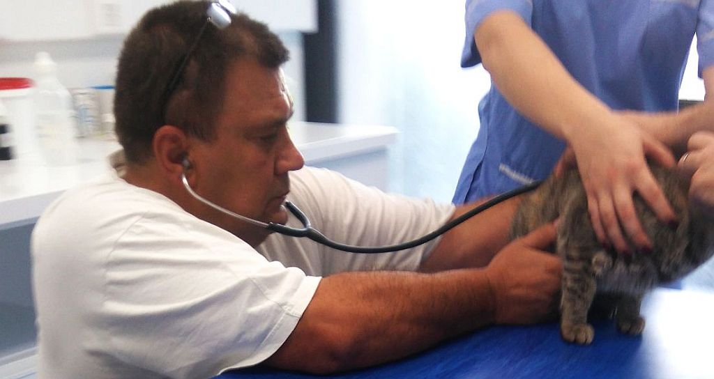 Veterinarska ambulanta Bošnjak i Mioč