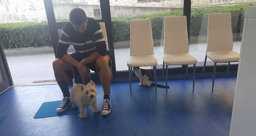 Veterinarska ambulanta Bošnjak i Mioč