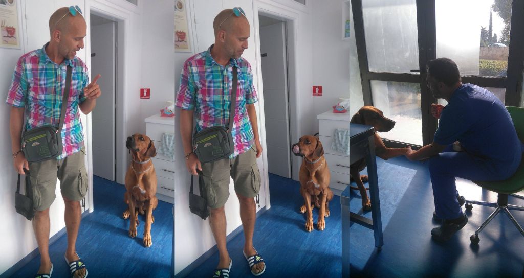 Veterinarska ambulanta Bošnjak i Mioč